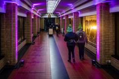 202310-Par-pa-fotografie-Scheveningen-LightWalk-Golazo-8994-V1