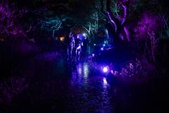 20241207-Par-pa-fotografie-ScheveningenNightwalk-3357-1