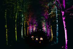 Scheveningen Light Walk 2025