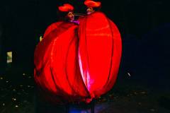 1_david.stegenga.2025.11.22-golazo-scheveningen.light_.walk-1798_lowres