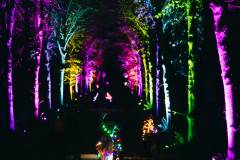 1_david.stegenga.2025.11.22-golazo-scheveningen.light_.walk-2237_lowres