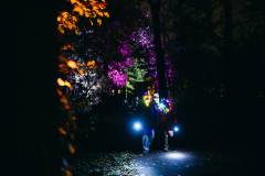 1_david.stegenga.2025.11.22-golazo-scheveningen.light_.walk-2426_lowres